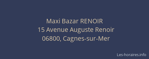 Maxi Bazar RENOIR