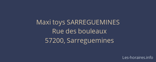 Maxi toys SARREGUEMINES