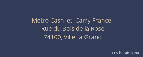 M&eacute;tro Cash  et  Carry France