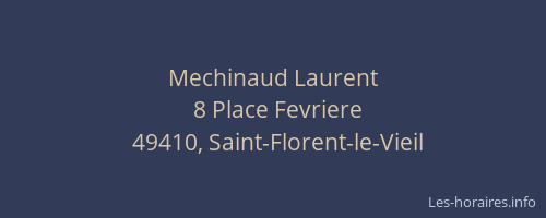 Mechinaud Laurent