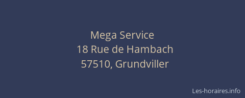 Mega Service