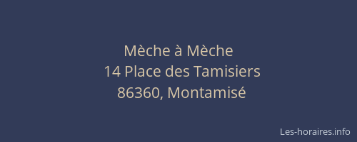 M&egrave;che &agrave; M&egrave;che