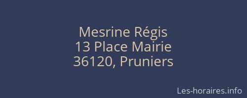 Mesrine Régis