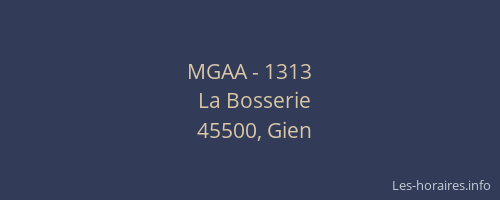 MGAA - 1313