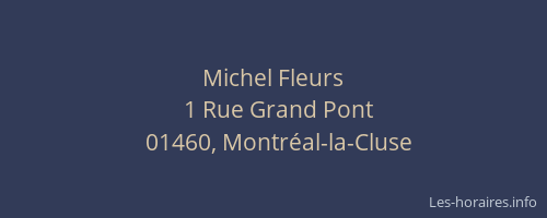 Michel Fleurs