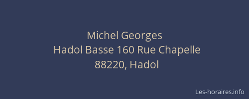 Michel Georges