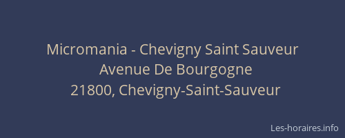 Micromania - Chevigny Saint Sauveur