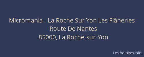 Micromania - La Roche Sur Yon Les Flâneries