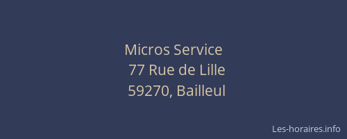 Micros Service