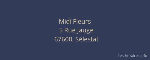 Midi Fleurs