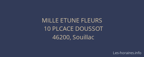 MILLE ETUNE FLEURS