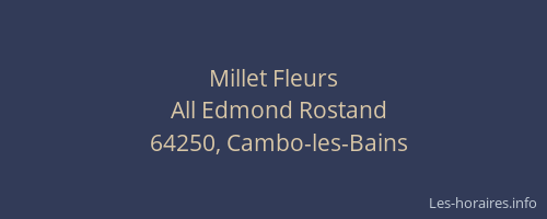 Millet Fleurs