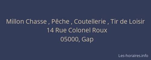 Millon Chasse , Pêche , Coutellerie , Tir de Loisir