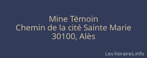 Mine Témoin