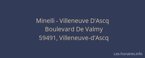 Minelli - Villeneuve D'Ascq