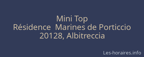 Mini Top