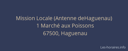 Mission Locale (Antenne deHaguenau)