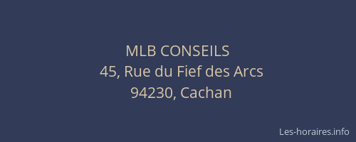MLB CONSEILS