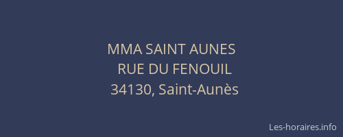 MMA SAINT AUNES