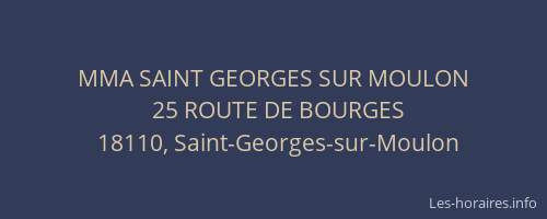 MMA SAINT GEORGES SUR MOULON