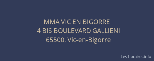 MMA VIC EN BIGORRE