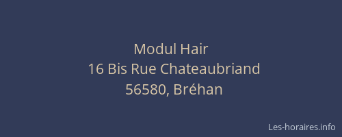 Modul Hair