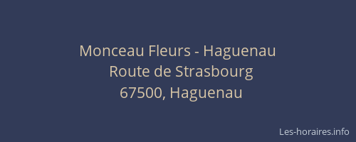 Monceau Fleurs - Haguenau