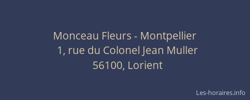 Monceau Fleurs - Montpellier