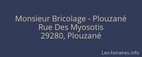 Monsieur Bricolage - Plouzané