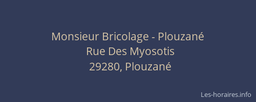 Monsieur Bricolage - Plouzané