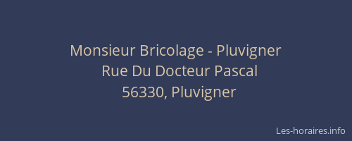 Monsieur Bricolage - Pluvigner