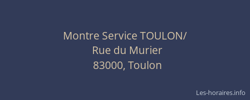 Montre Service TOULON/
