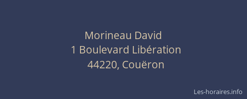 Morineau David