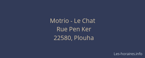 Motrio - Le Chat