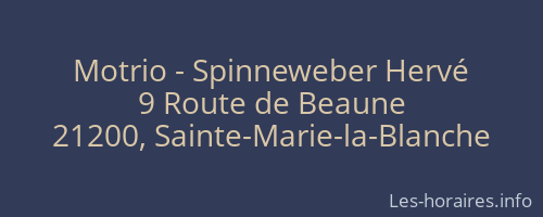 Motrio - Spinneweber Hervé