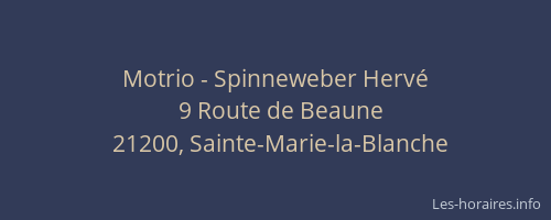 Motrio - Spinneweber Herv&eacute;