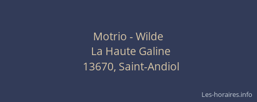 Motrio - Wilde