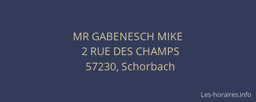 MR GABENESCH MIKE