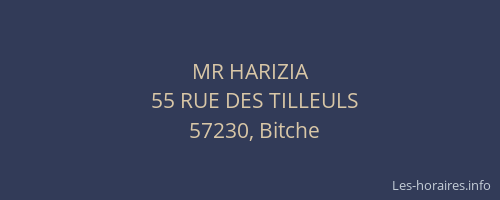 MR HARIZIA