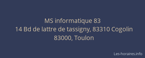 MS informatique 83