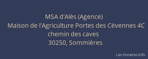 MSA d'Al&egrave;s (Agence)