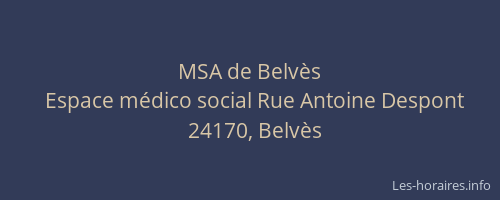 MSA de Belv&egrave;s