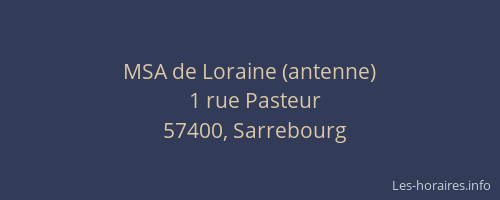 MSA de Loraine (antenne)