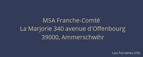 MSA Franche-Comt&eacute;
