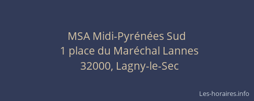 MSA Midi-Pyr&eacute;n&eacute;es Sud