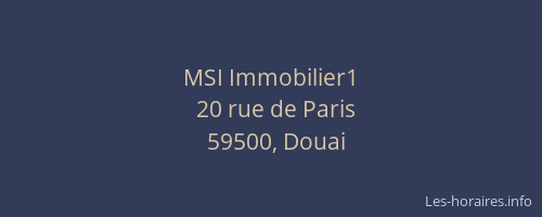 MSI Immobilier1