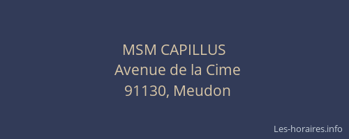 MSM CAPILLUS