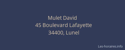 Mulet David
