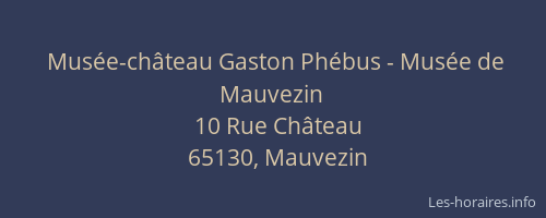 Mus&eacute;e-ch&acirc;teau Gaston Ph&eacute;bus - Mus&eacute;e de Mauvezin