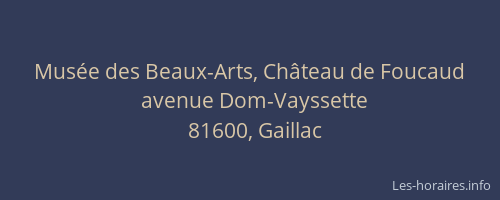 Mus&eacute;e des Beaux-Arts, Ch&acirc;teau de Foucaud